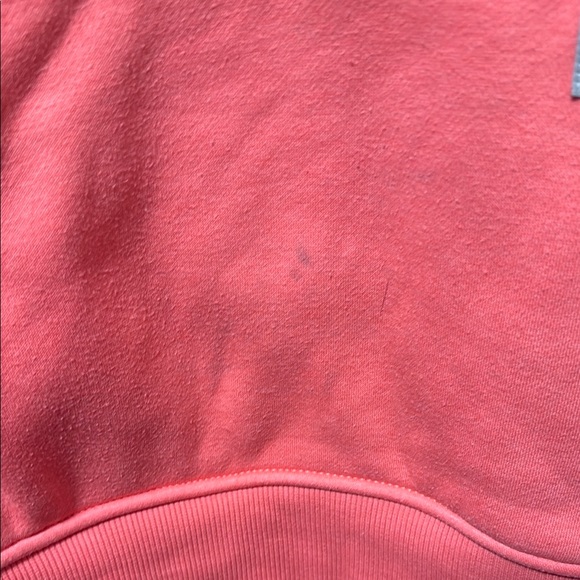 Carhartt Coral Hoodie with Logo - Picture 3 of 8
